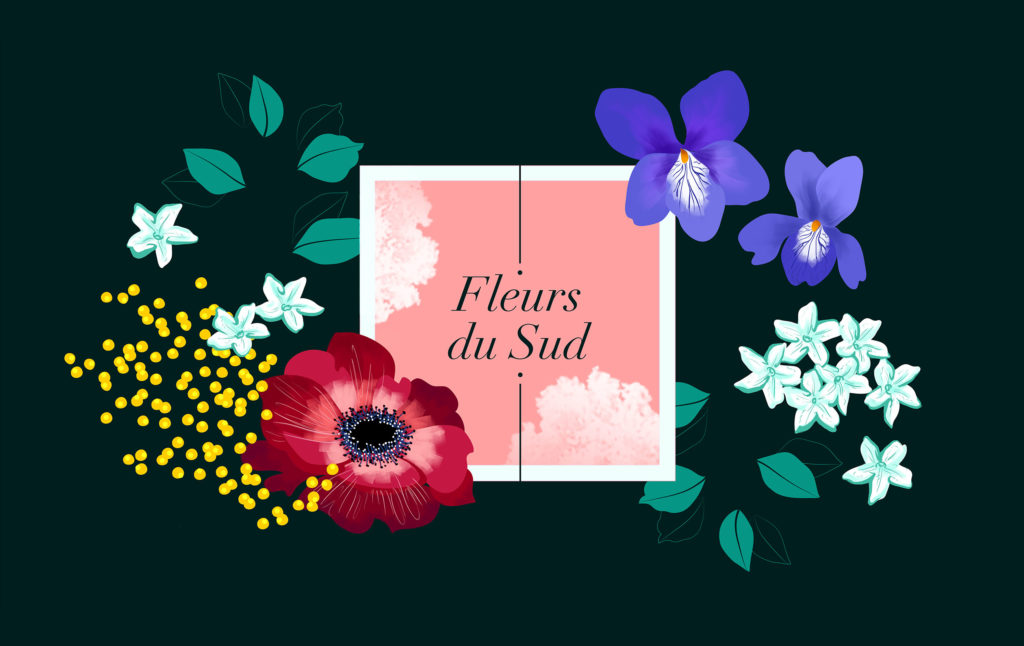 juliette-bedouet-graphiste-motiondesigner-freelance-Nice-Paris-Illustration_fleurs