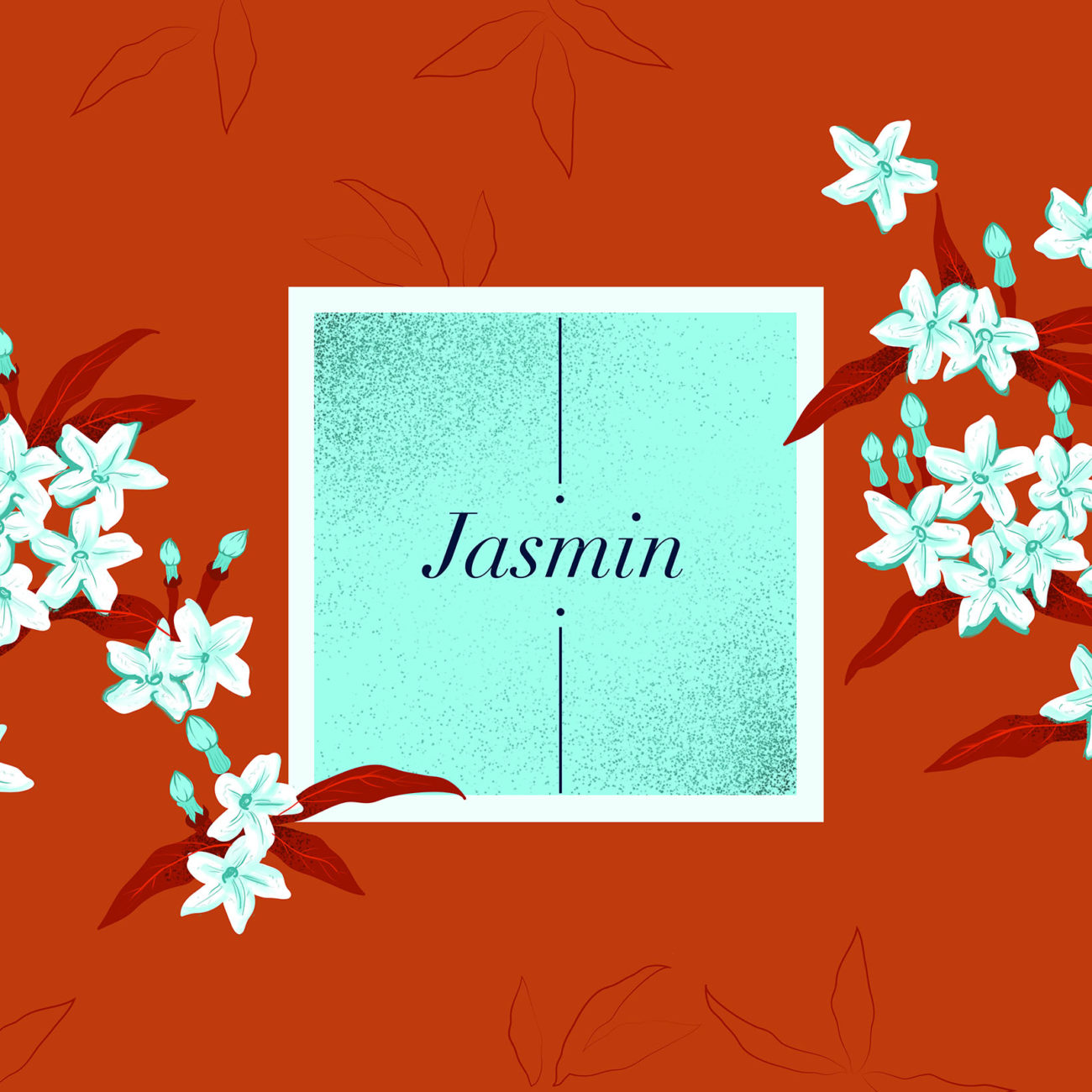 juliette-bedouet-graphiste-motiondesigner-freelance-Nice-Paris-Illustration_Jasmin